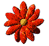 floricq.gif (6147 bytes)